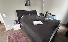 Premium Apartments Schwetzingen, Heidelberg, Speyer